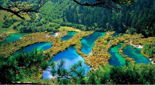 水为什么是透明的，为什么水是透明的（红的黄的粉的绿的五彩的）