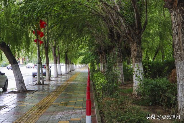 拉萨有什么特产，拉萨特产（但对旅居者并不适合）