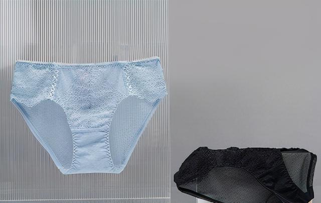女士内裤十大名牌，女士内衣十大名牌（LAMIU兰缪可以get一下）