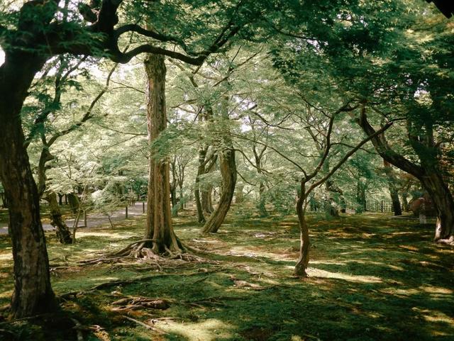 摄影的意义与价值，摄影对孩子意义与价值（戴显婧：从摄影师到导演）