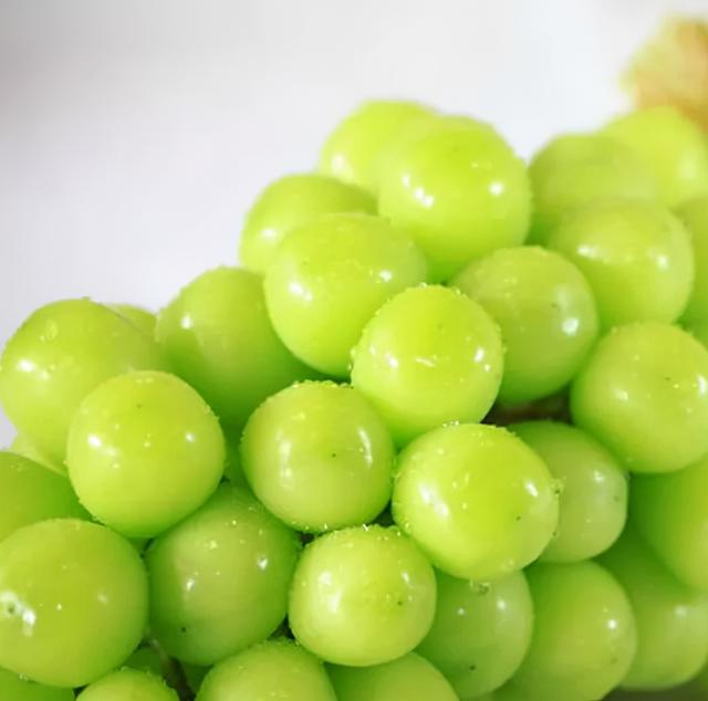 葡萄品种大全，十大葡萄品种（八个最贵的葡萄品种介绍）