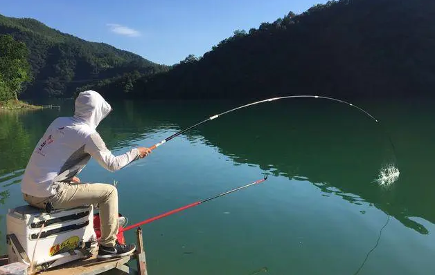 盛夏钓鲫难？精选高效饵料配方助你轻松上大板鲫