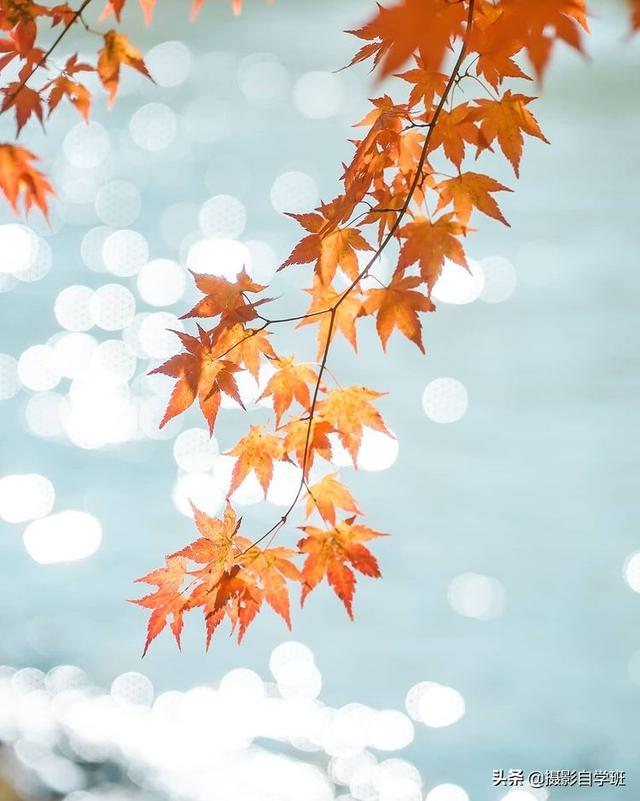 怎么拍照片好看，拍照怎么拍的好看（试试这9个教科书式摄影技巧）