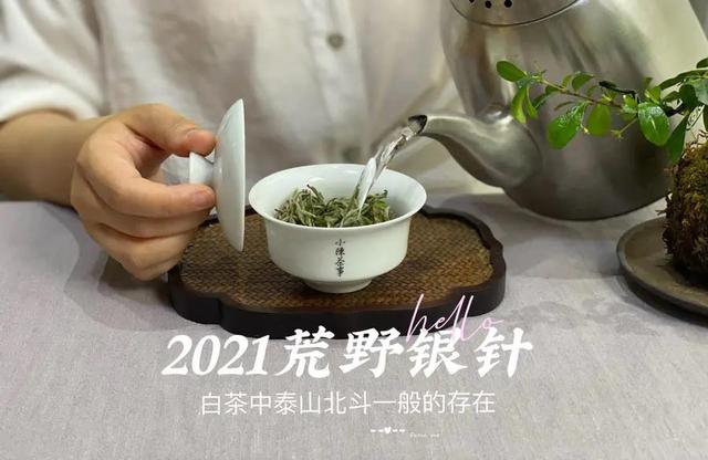 白毫银针怎么泡，白毫银针如何冲泡（好几千买的白毫银针）