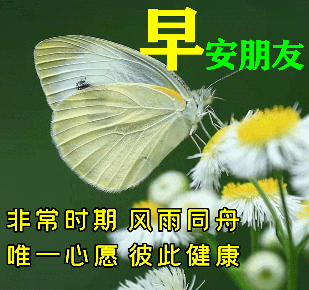 财神金图片 财神金如意图片