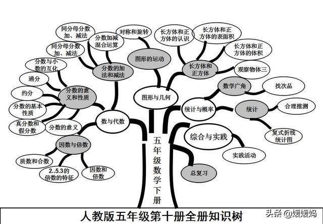 六下数学思维导图，六年级数学下册思维导图全部（人教版五年级数学下册各单元思维导图）