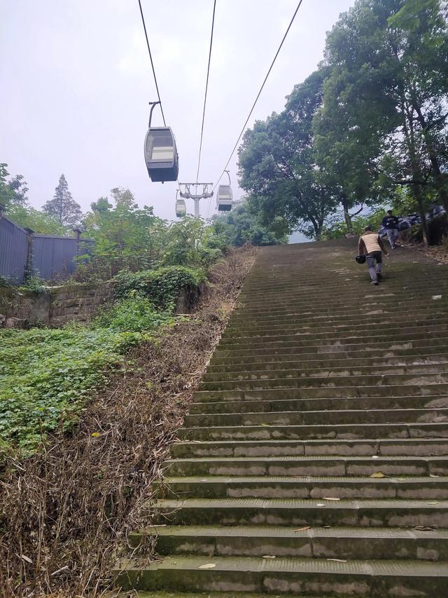 歌乐山森林公园，重庆旅游必去景点（歌乐山国家森林公园）