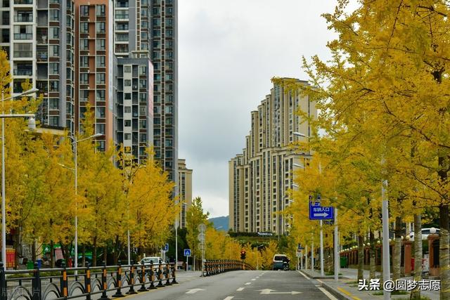 二本大学排行榜，全国二本大学100强