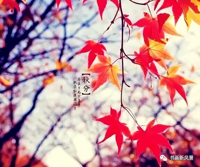 二十四节气 秋天，秋分