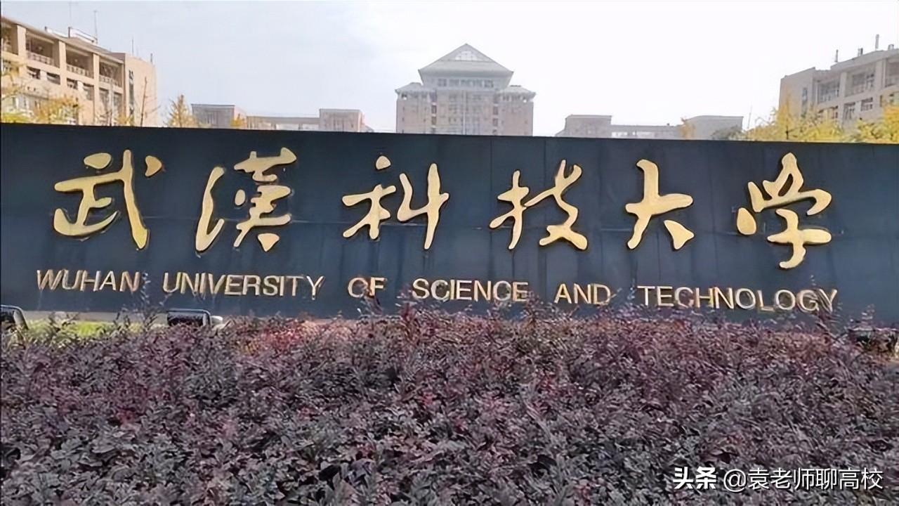 洛阳医学高等专科学校（武汉科技大学与河南科技大学）