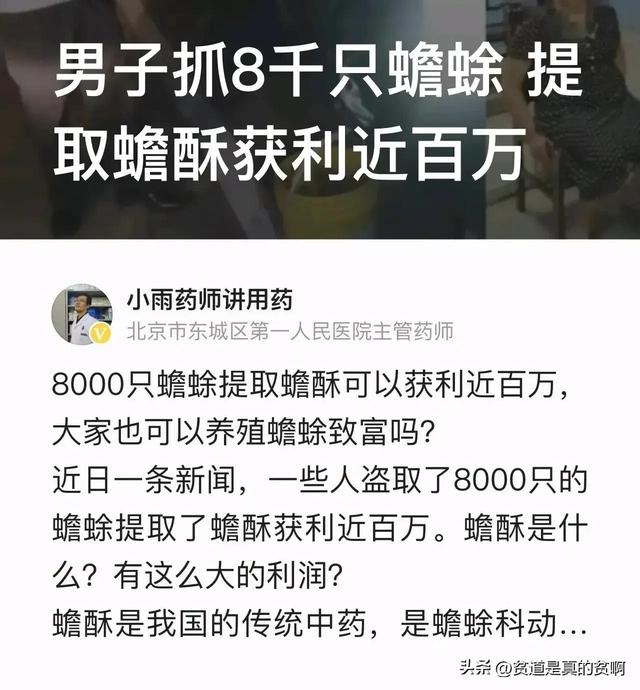 野生蟾酥多少钱一克 ，安国药材市场蟾酥价格（男子靠盗来的8000只蟾蜍提取蟾酥竟获利近百万。什么是蟾酥）