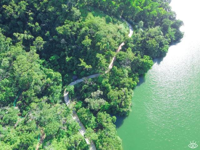 深圳有哪些好玩的地方，深圳有哪些好玩的地方及美食街（深圳这22条绿道，真的美）