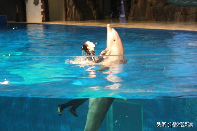 人类与动物的无差别交流，最残忍NASA实验