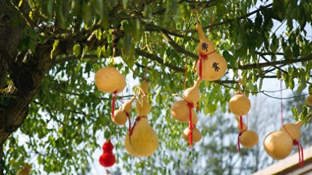 6月免门票指南|来齐云山,给你一场有仪式感的毕业之旅