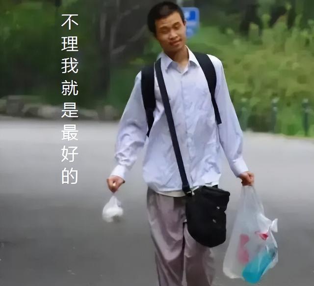 智商160才能看懂的图片，智商160才能看懂的图片找皮卡丘（北大“韦神”一年级作文走红）