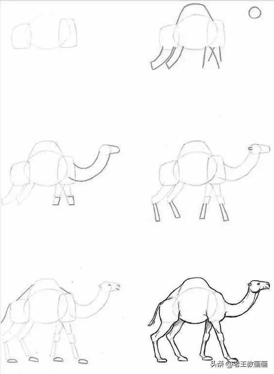 怎么画鱼最简单又好看，鱼简笔画彩色（25个动物简笔画教程分享给你）