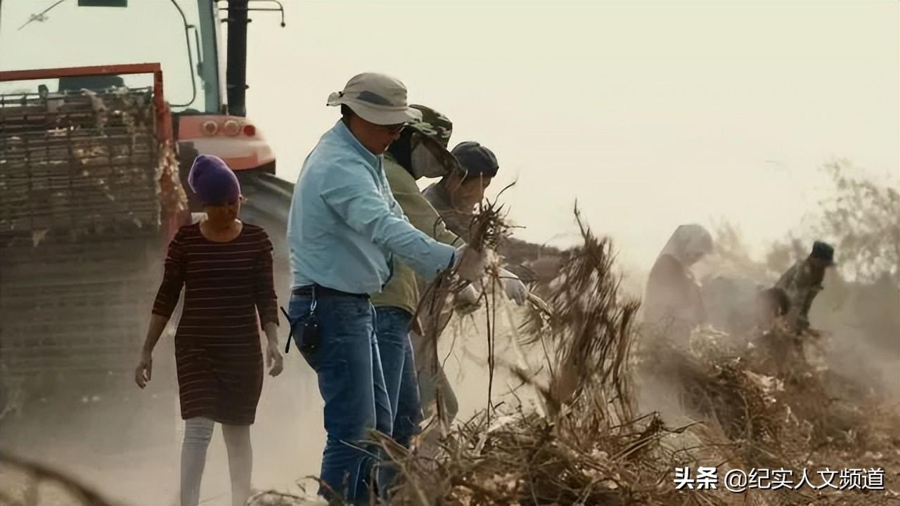 我到新疆去(我到新疆去挑战文本内容)