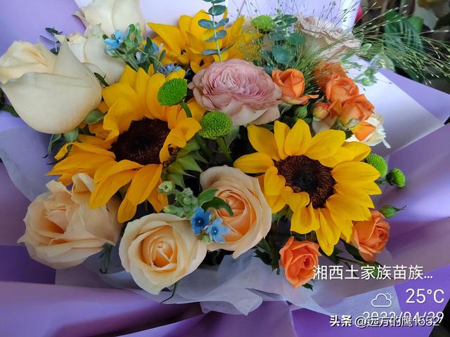 芙蓉镇门票多少钱，芙蓉古镇门票免费时间（自驾游湘西芙蓉镇）