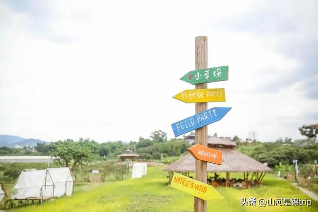 亲子游去哪里玩比较好，暑期亲子游（国内最具特色的十大亲子农场推荐）