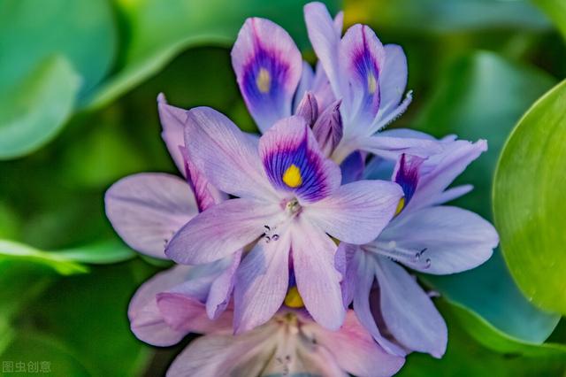 一个男人图你钱的表现，男生图你钱的表现（其实一眼就能看出来）