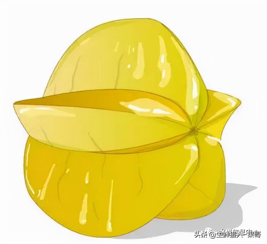 浆果是什么，浆果是什么软件（不同水果的不同包装<浆果篇>）