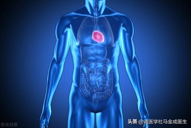 水栀子，献给经常上火的你（水栀子花）