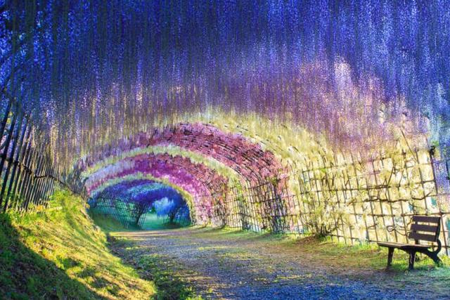 塔希提岛度假，盘点生前必去的50个绝美的地方