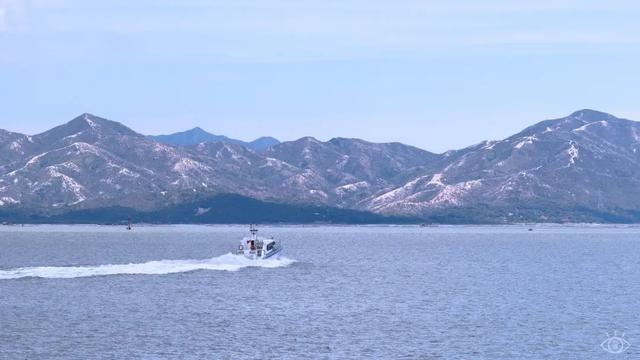 深圳湾海滨公园，冬天深圳湾海滨公园（深圳值得去的70个公园）