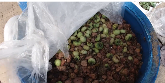 水果酵素怎么做，蜂蜜水果酵素怎么做（看起来高端的酵素）