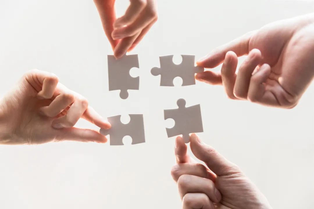 案例分析的意义（从）