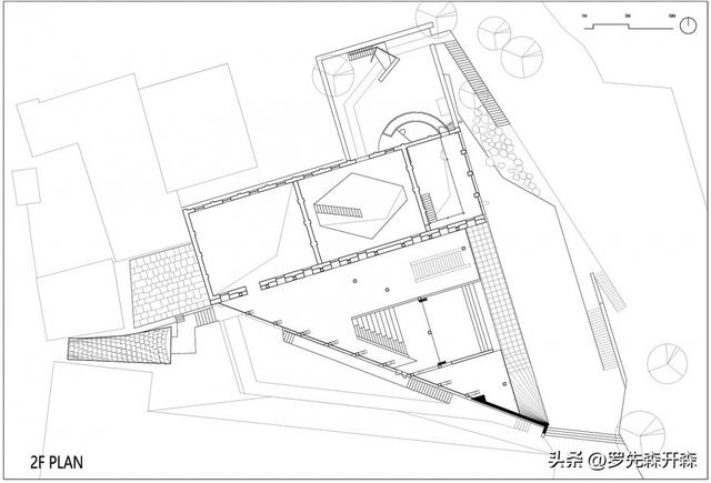 生长于什么地方，楮头红介绍（河南——生长于山水乡镇之间）