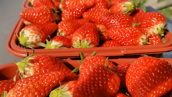 汉中旅游景点排名推荐，汉中旅游景点大全排名榜（在汉中一年四季可以这样玩 →）