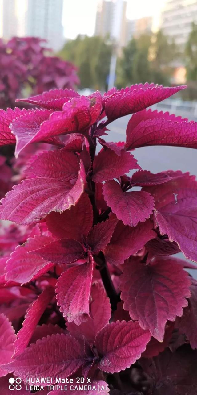 灵魂相似的人一旦相逢，灵魂相似的人一旦相逢是知心朋友（总有一天会在路上相逢）