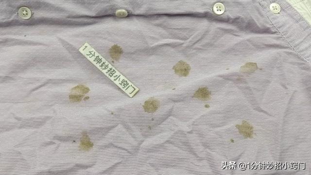 衣服受潮了有霉斑怎么处理呢，衣服受潮发霉后如何清洗（衣服霉斑多难洗掉）