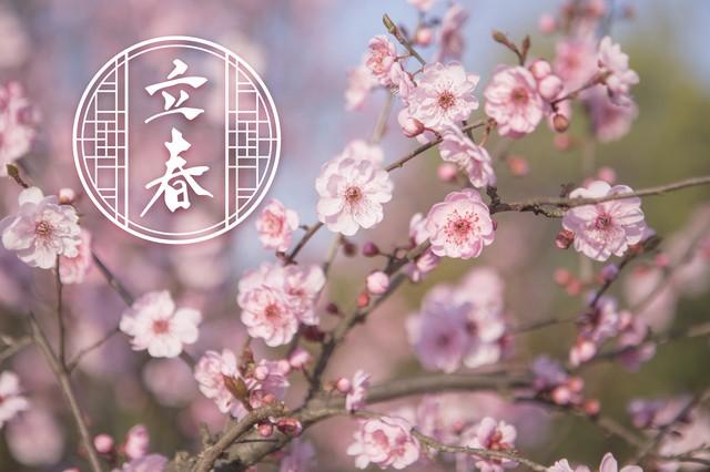 申猴是什么意思，生肖猴为什么又叫申猴（躲出一年好运气”）