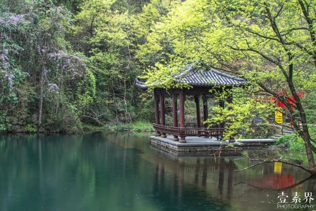 灵隐寺吃素面的地方，杭州寺庙斋饭攻略