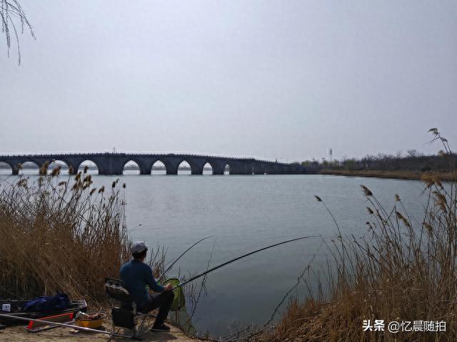 邂逅济宁金乡县金水湖湿地公园，感受春暖花开