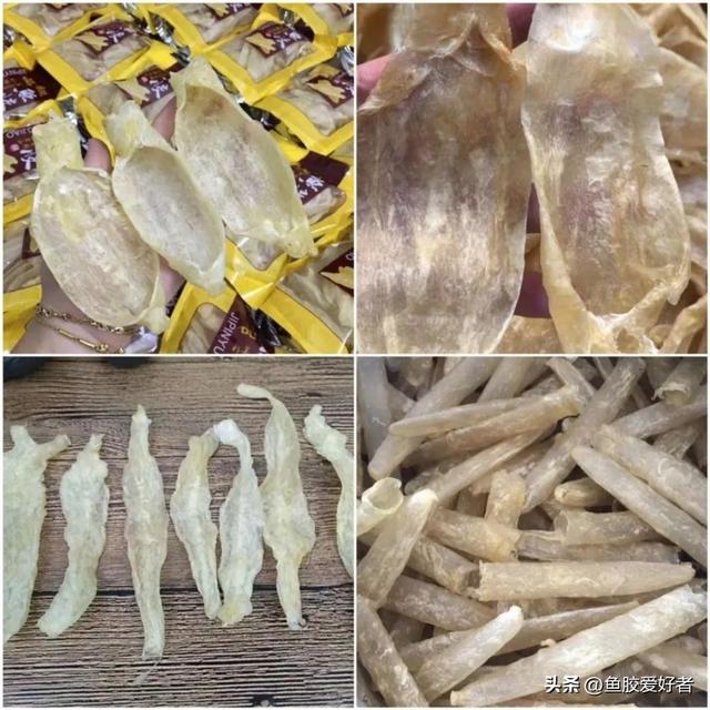 鱼胶是什么，鱼胶是什么鱼身上取的（最便宜的鱼胶是什么鱼胶你知道吗）