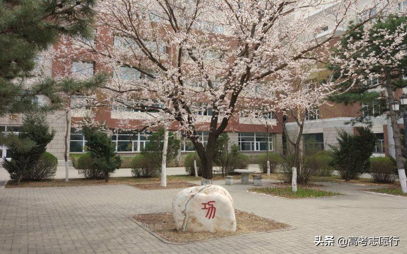 长春工业大学怎么样(长春工业大学读研怎样)插图(2)