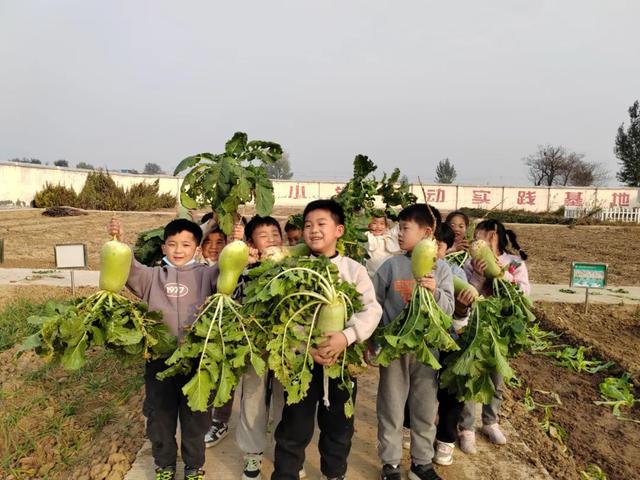 一年级小故事简短，一年级的简短小故事（劳动教育欢乐多——东风小学一年级一班拔萝卜劳动实践活动纪实）