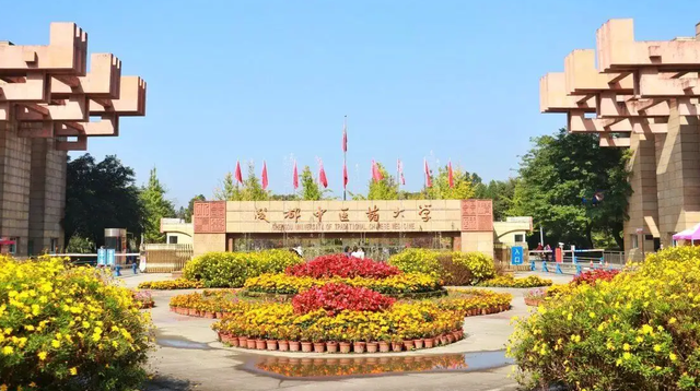 中医药大学排名2022最新排名，天津中医药大学排名多少名（22年中医药大学排行出炉）