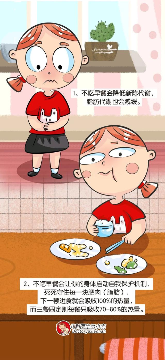 早餐不吃会长胖吗,不吃早餐会发胖吗(天真,反而越饿越胖)
