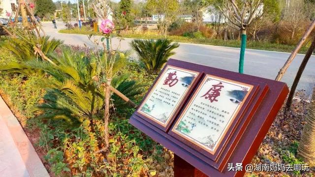 长沙自驾游攻略，长沙旅游攻略最佳路线推荐自驾游（藏在长沙近郊的“大观园”）