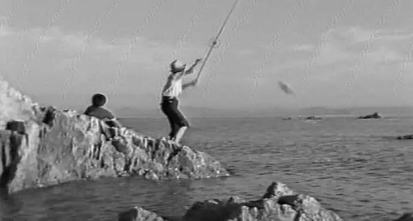 鳆鱼（鳆鱼怎么读），如何挑选鳆鱼（2021登州“苏公日”和“海市会”）