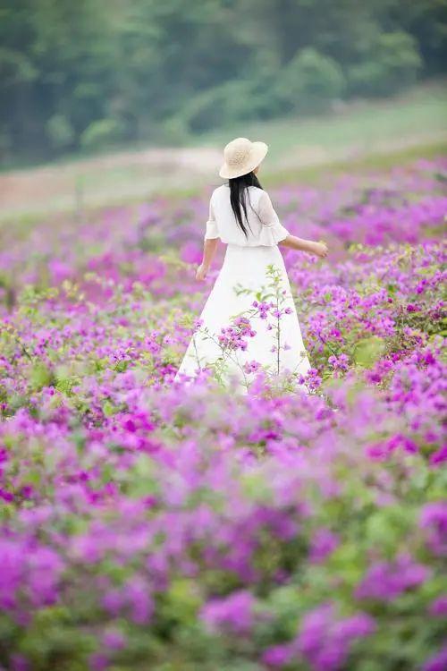 随遇而安79,随遇而安图片带字(淡看过往,随遇而安)