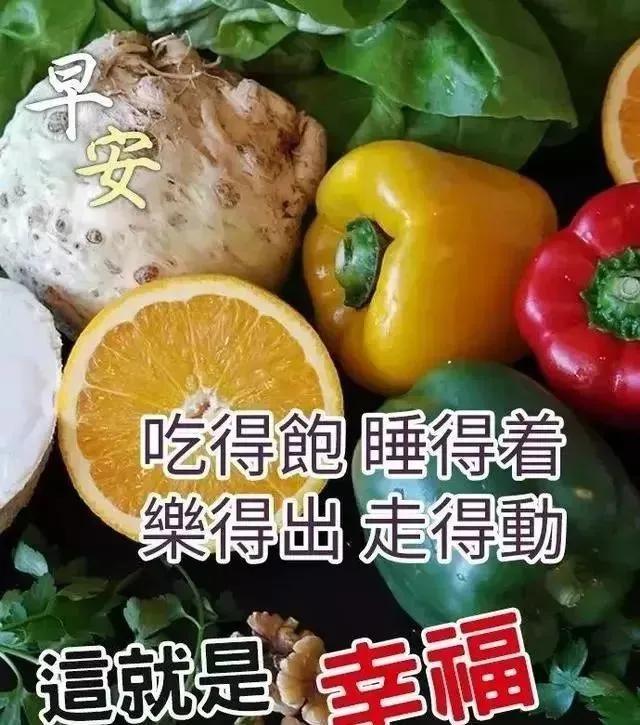 最新温馨早安心语，2019最温馨的早安心语（朋友圈早晨好问候语句）