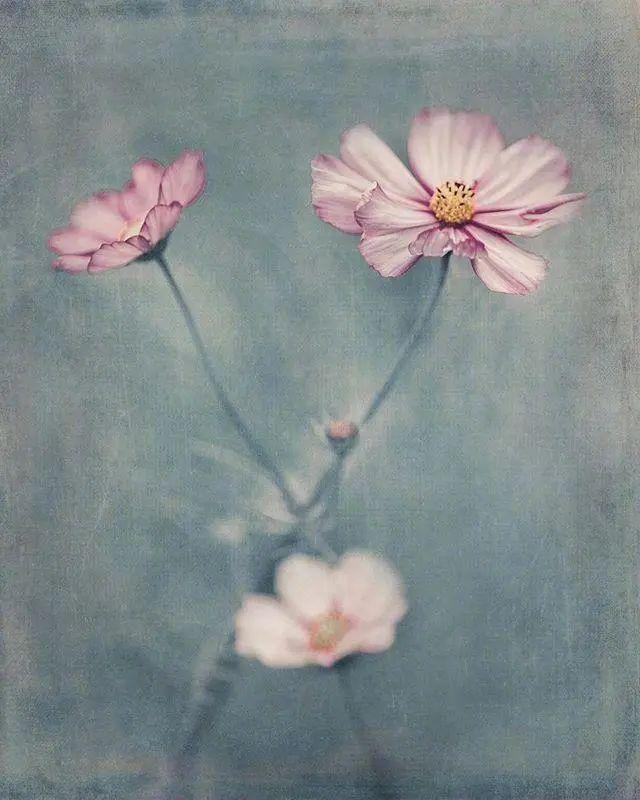 人生哲理美文摘抄，富含哲理经典美文摘抄大全（句句发人深省的人生哲理）