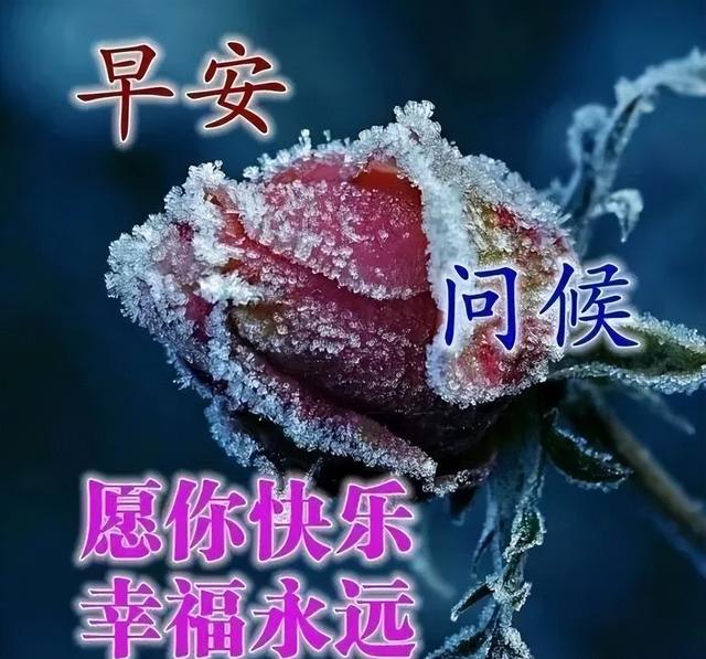 唯美风景带字图片,带有字的唯美风景图片(创意唯美的早上好祝福图片带