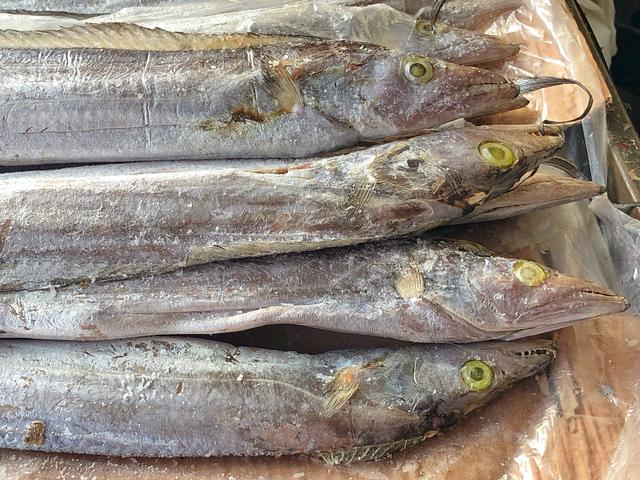 怎样挑选新鲜带鱼，如何挑选鲜带鱼（牢记“3买3不买”）