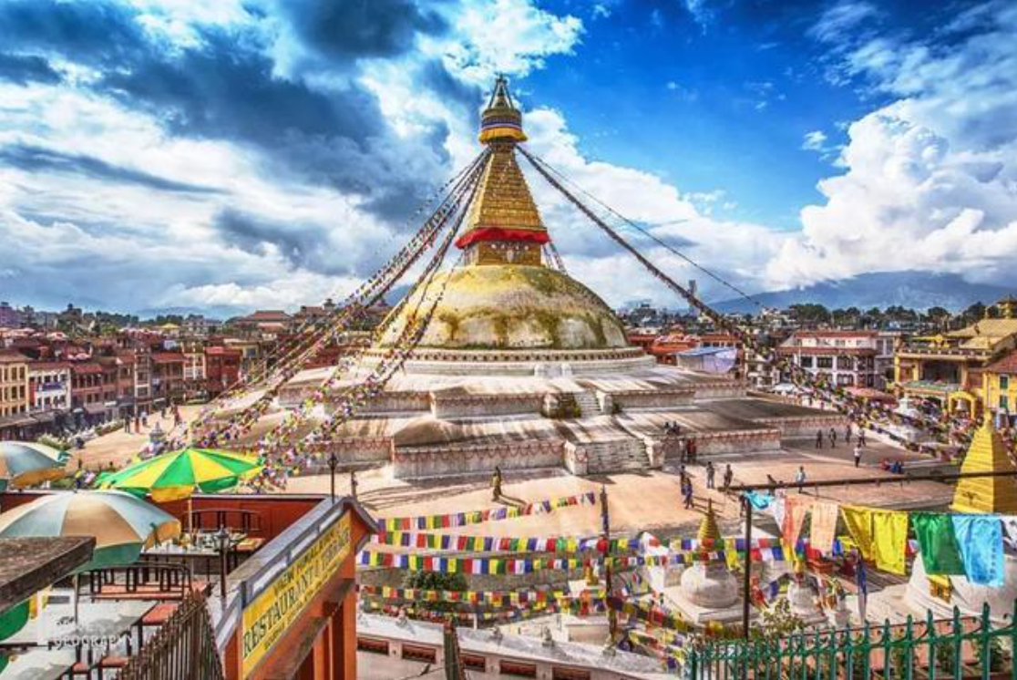 偷肾脏的案例（尼泊尔）